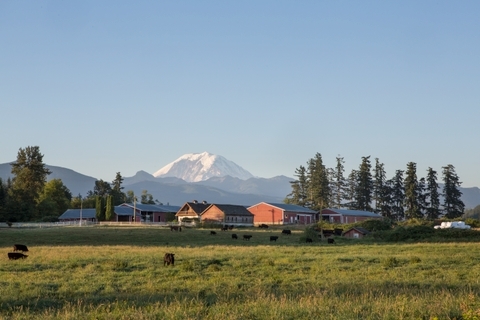 Mt Rainier and barn