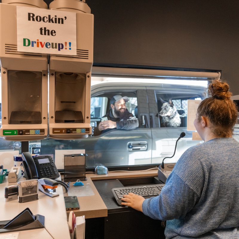 a bank teller helping a member at the credit union on international credit union day